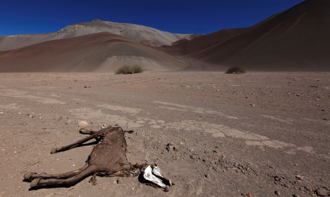 atacama-desert